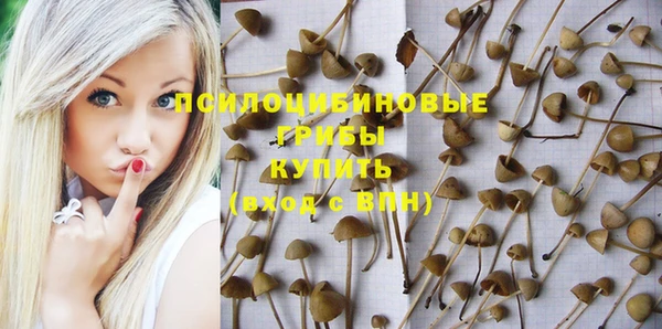 гашишное масло Билибино